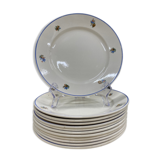 Old Badonvillier Plates