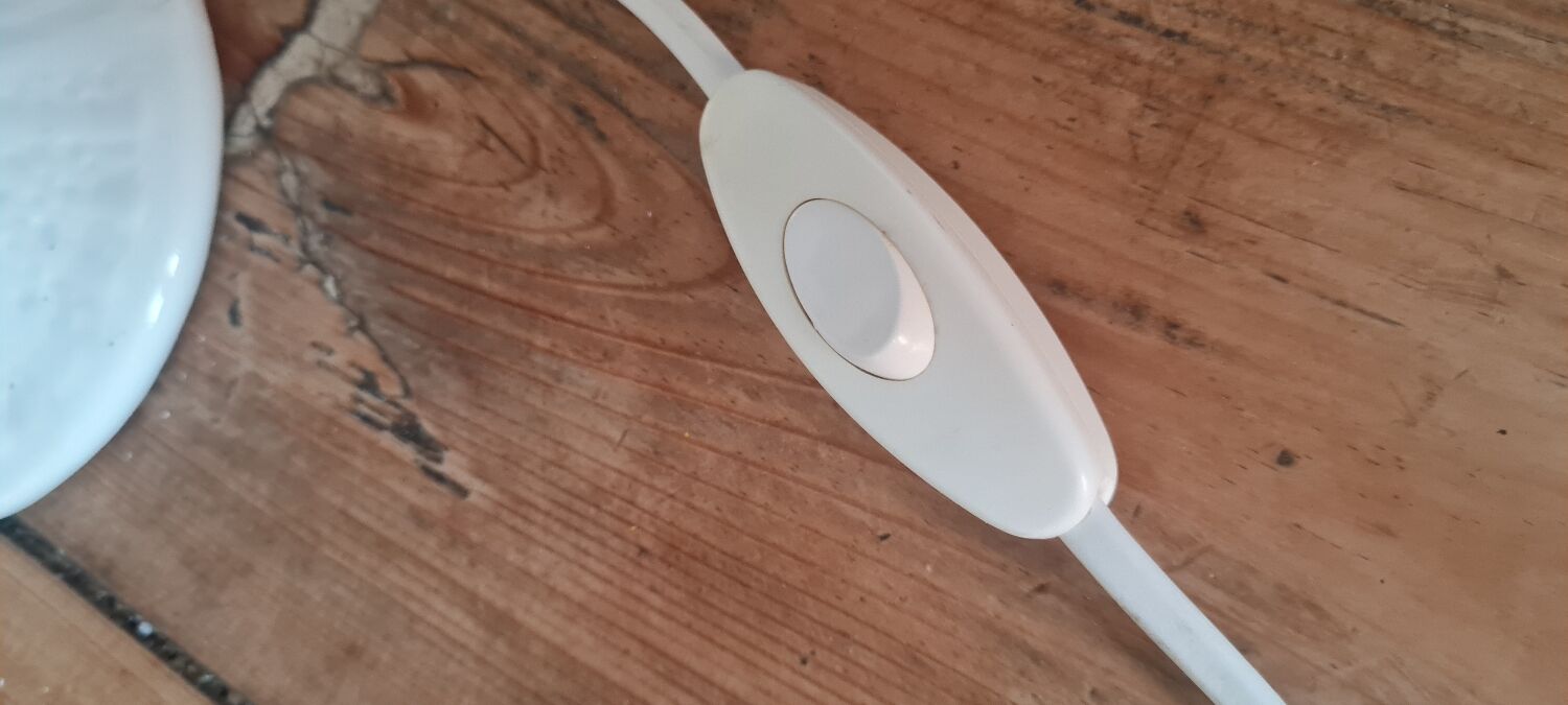 Ceramic palm lamp and white opaline globe