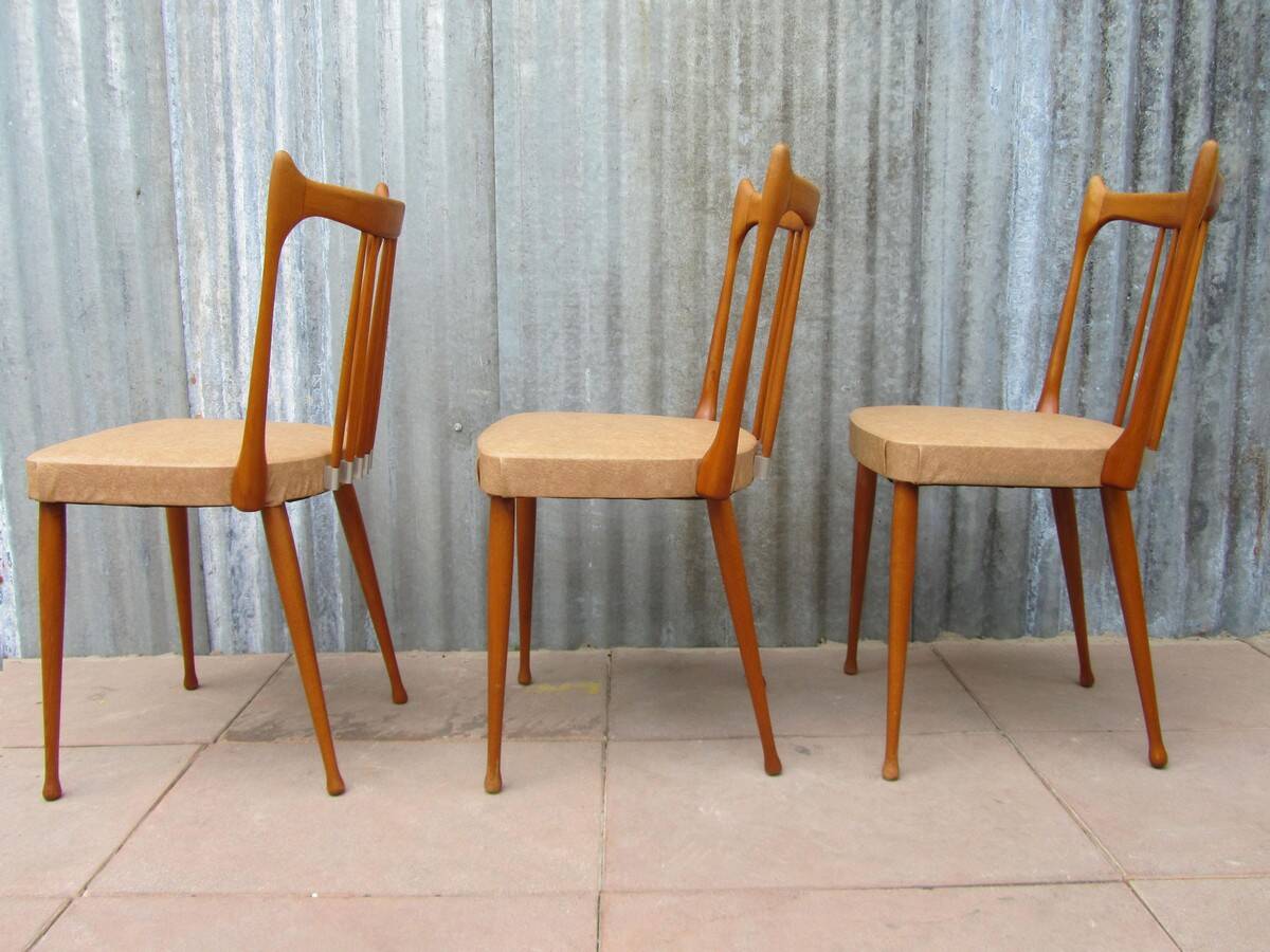 Mid-Century Dutch Organic Design Chairs from Stevens, 1950s, Set of 3