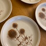 Set of Sarreguemines sandstone plates Thistle pattern