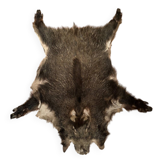 Real boar skin rug