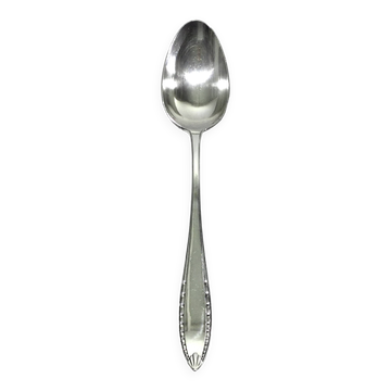 Christofle – Albatros Stew Spoon