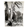 Silver gelatin photograph by Bernard Darot, Dead Tree, 20th century
