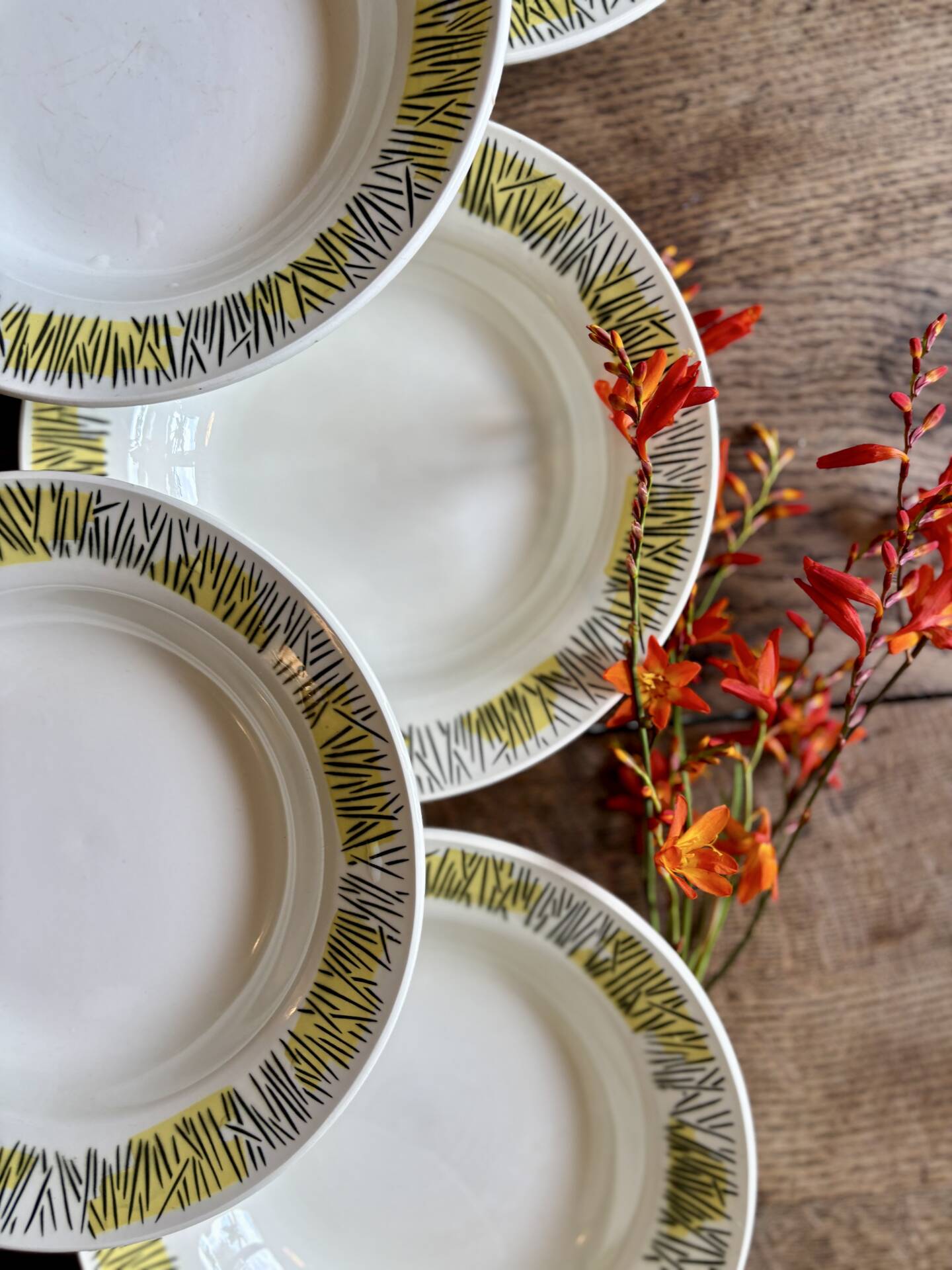 Set of 10 vintage deep plates, Monico models by Digoin/Sarregue.