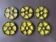 Set of 6 oyster plates Vallauris
