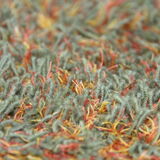 Handtufted carpet in wool & linen - Kerstine Kjaerholm - Denmark - 300x290cm