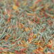 Handtufted carpet in wool & linen - Kerstine Kjaerholm - Denmark - 300x290cm
