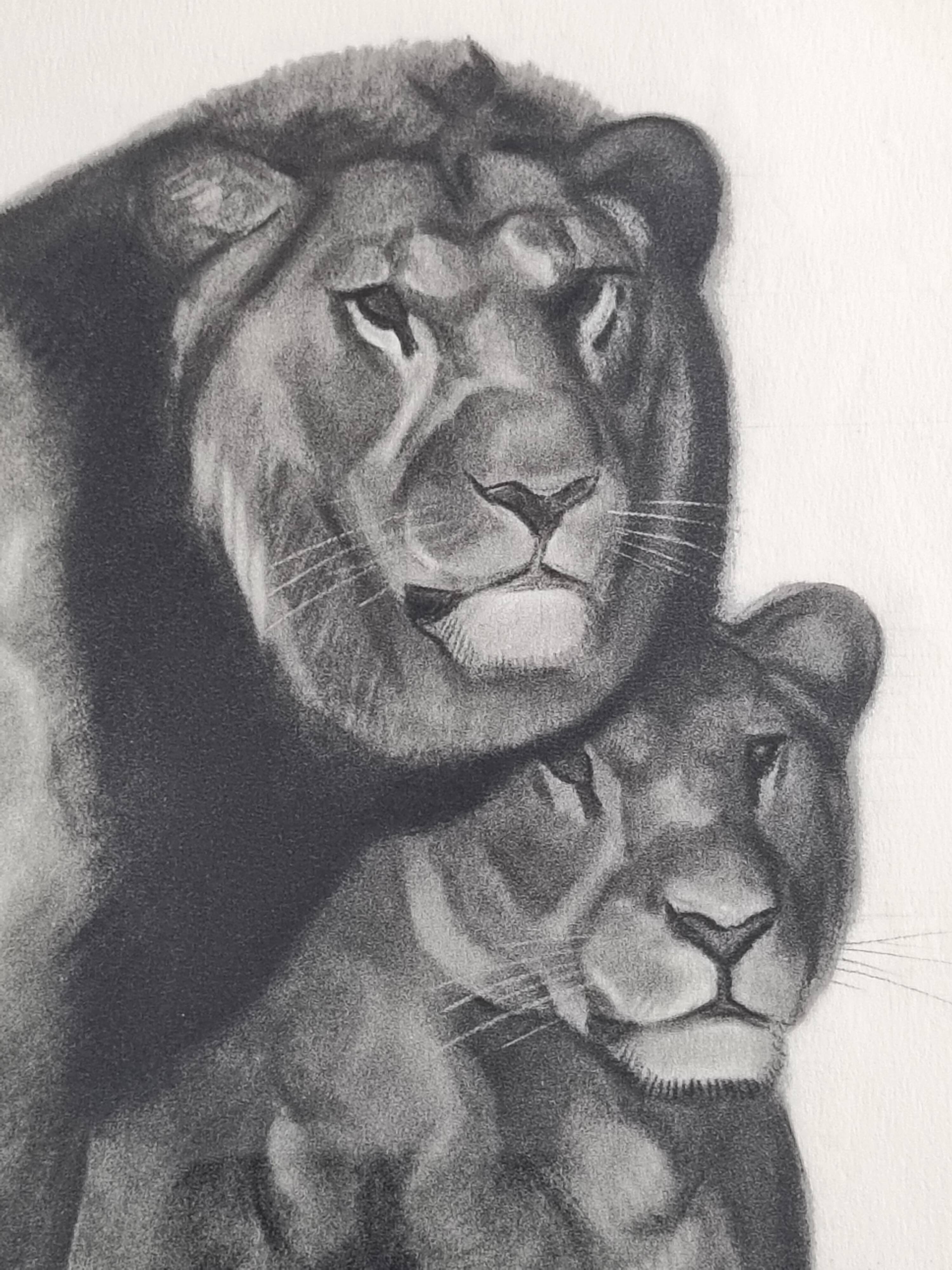 Print after Gorges Guyot, "couple of Lions", 1937, framed, 41 x 32 cm