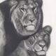 Print after Gorges Guyot, "couple of Lions", 1937, framed, 41 x 32 cm