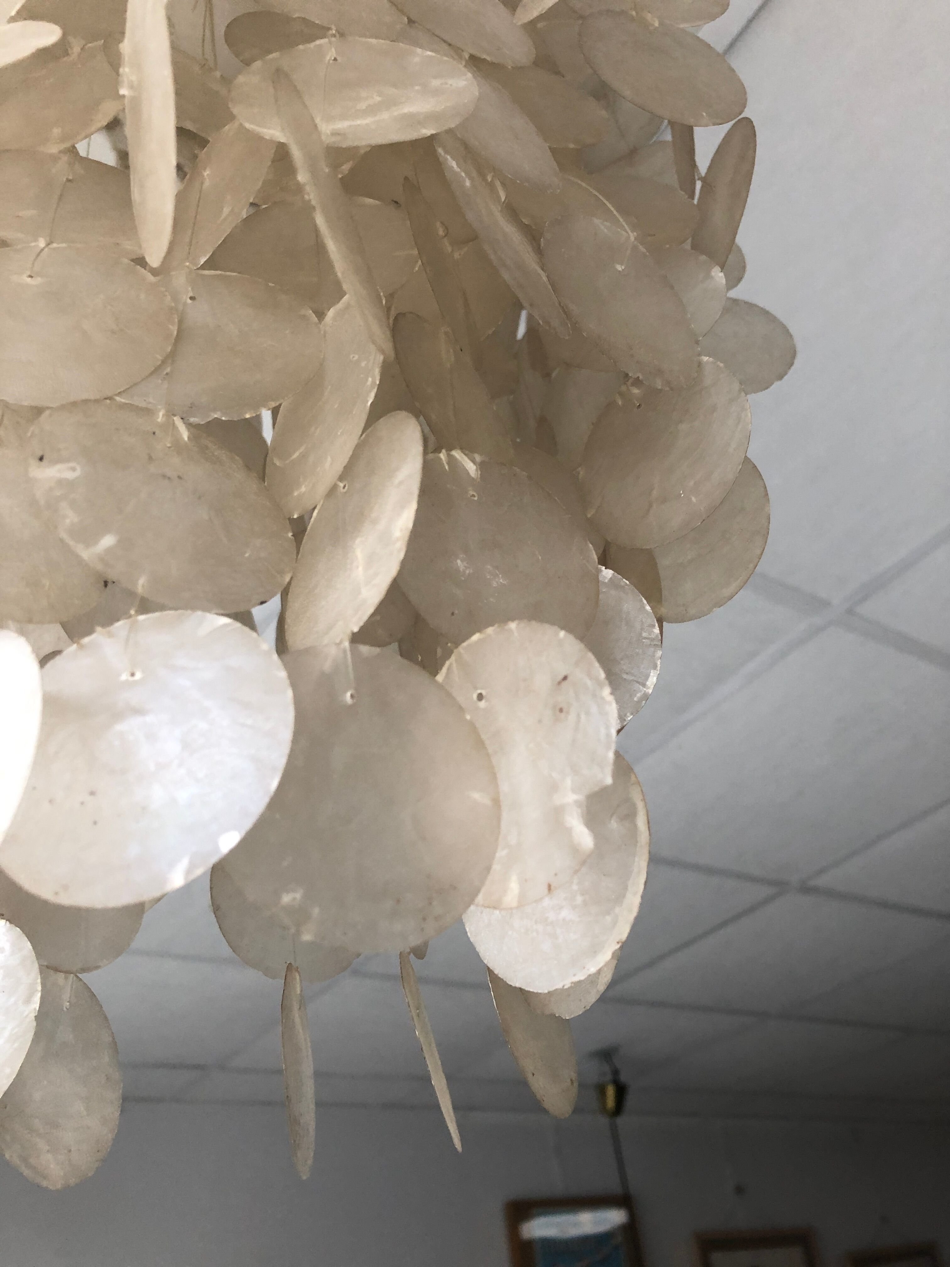 Mother-of-pearl grapevine chandelier, 1970
