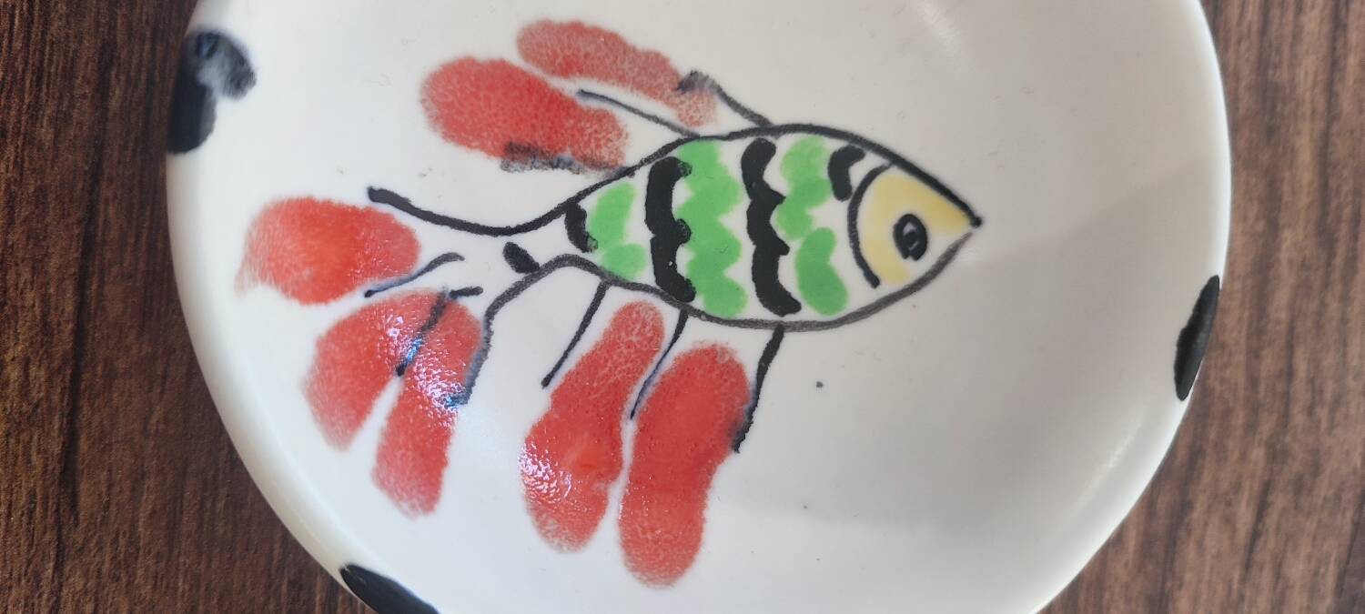 Biot bowl from the 1950s