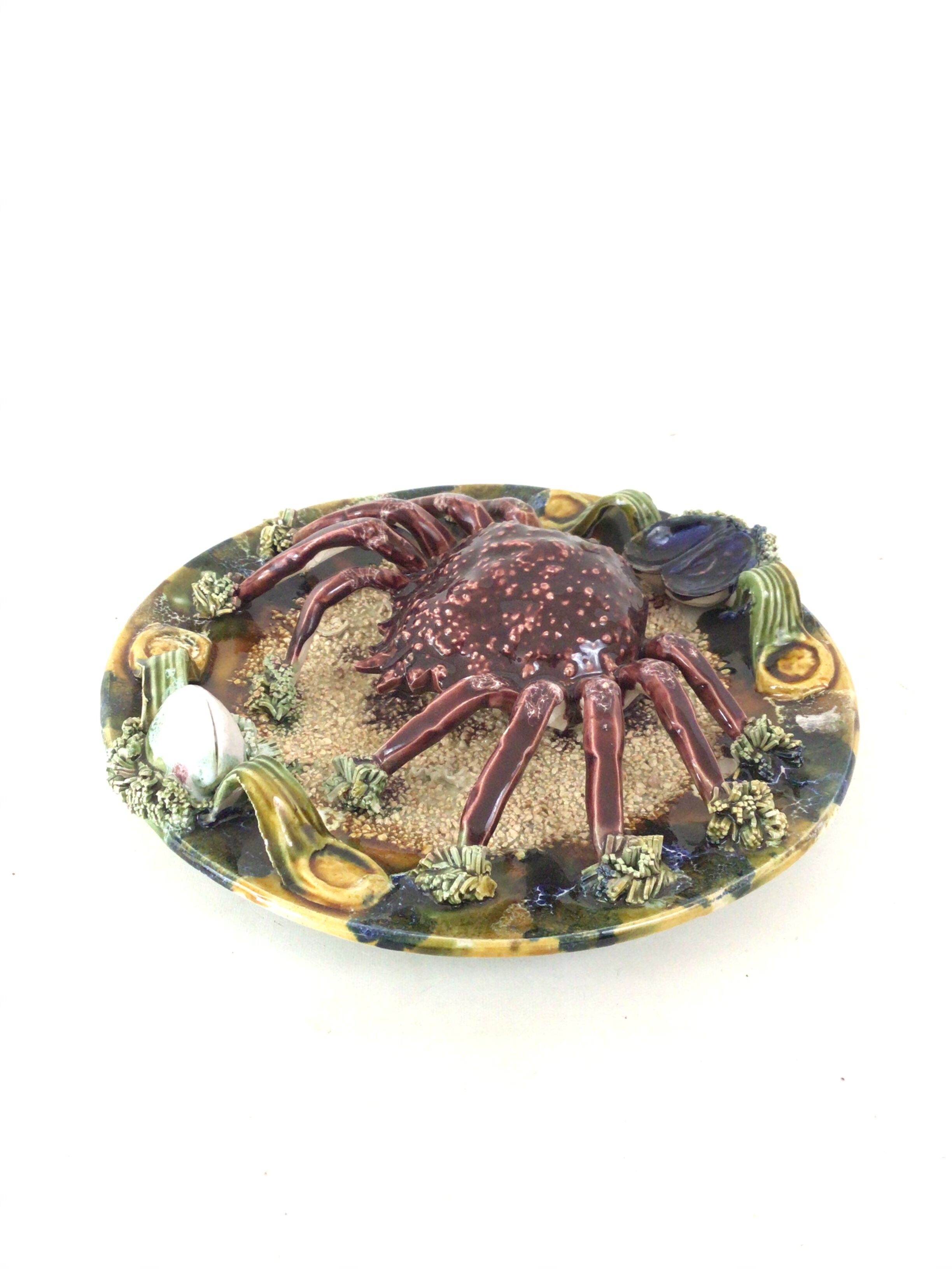 Naturalistic plate Spider earthenware of Caldas