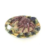 Naturalistic plate Spider earthenware of Caldas