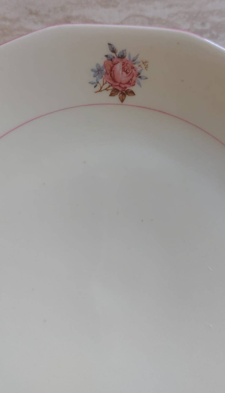 Splendid Set of 12 Vintage Octagonal Plates – Moulin des Loups Style
