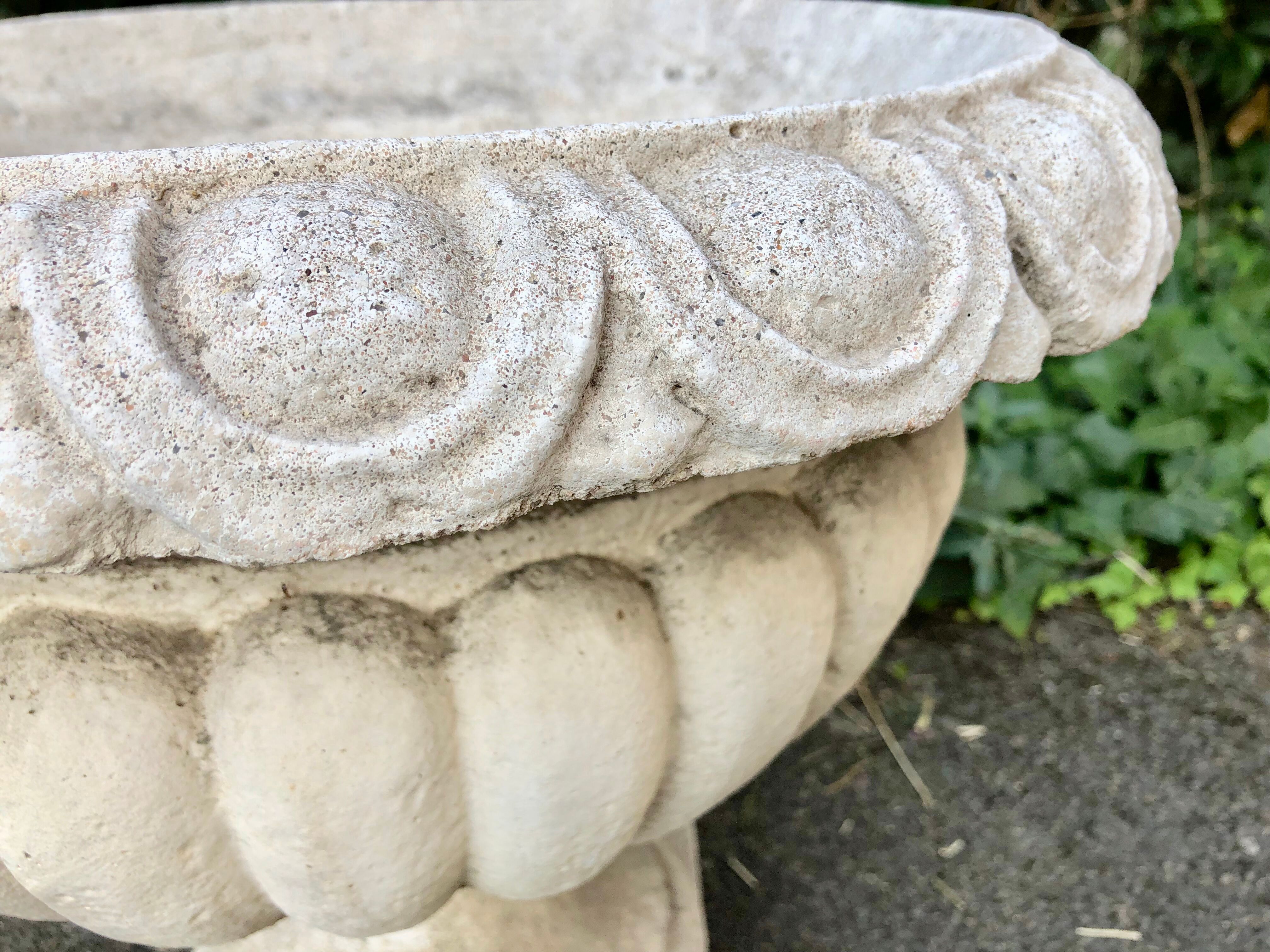 Pair of medicis and boxvales