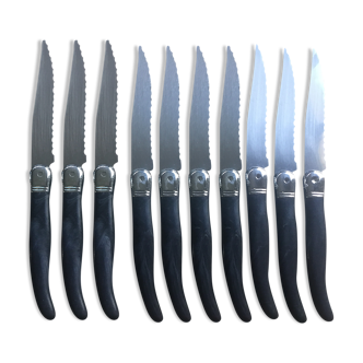Set of 10 Laguiole Knives