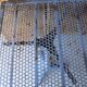 Old bistro table in cast iron and perforated metal, SIGHE Jeune Toulo