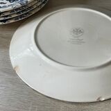 Set of 6 plates Villeroy & Boch Paradiso