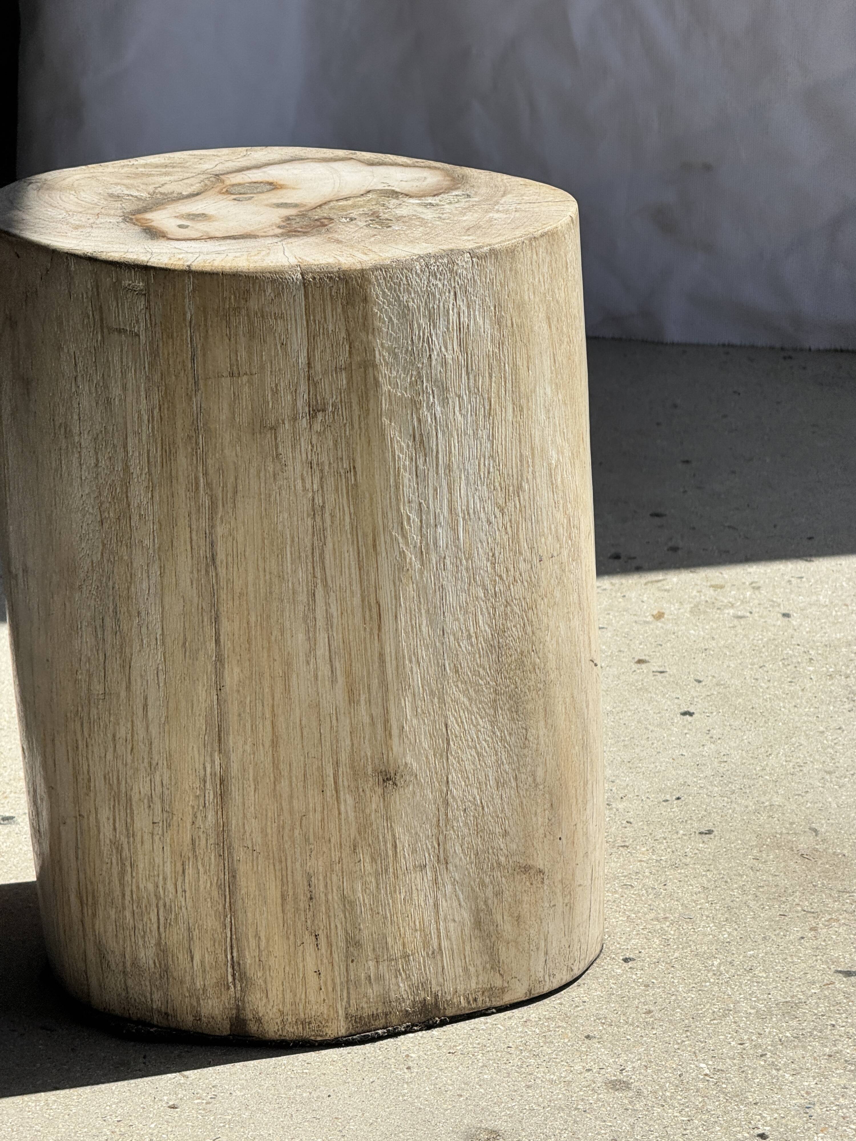 White oval petrified wood side table H38 D28 - 3335