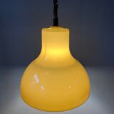 Suspension Space Age en verre acrylique