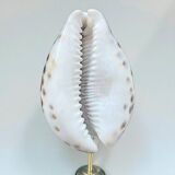 Tiger porcelain seashell on a wooden base, late 19th century