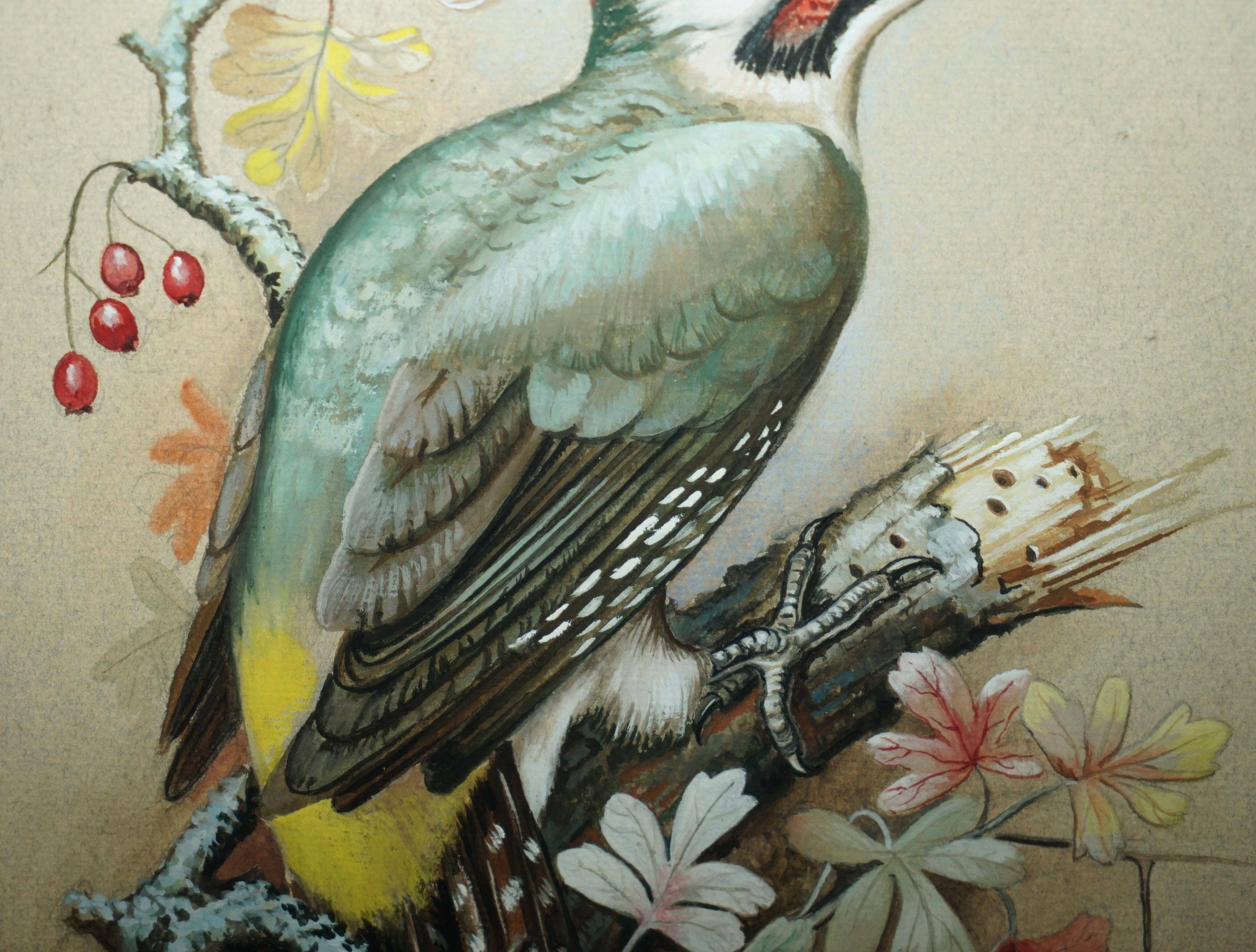 Ornithological watercolour painting signed M Shermorne kingfisher.