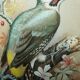 Ornithological watercolour painting signed M Shermorne kingfisher.