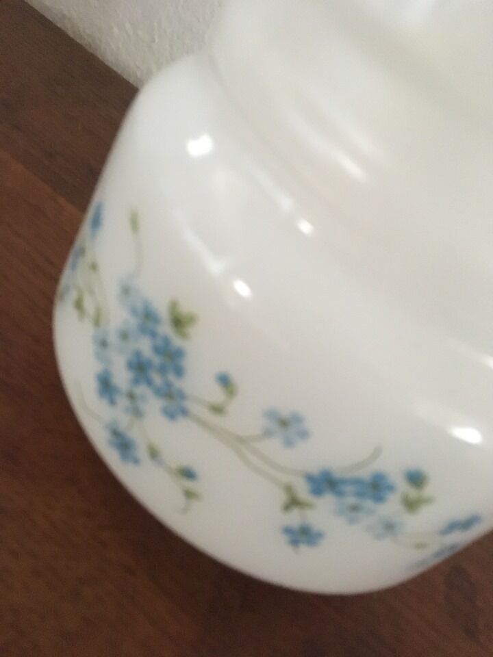 Pitcher arcopal forget-me-not