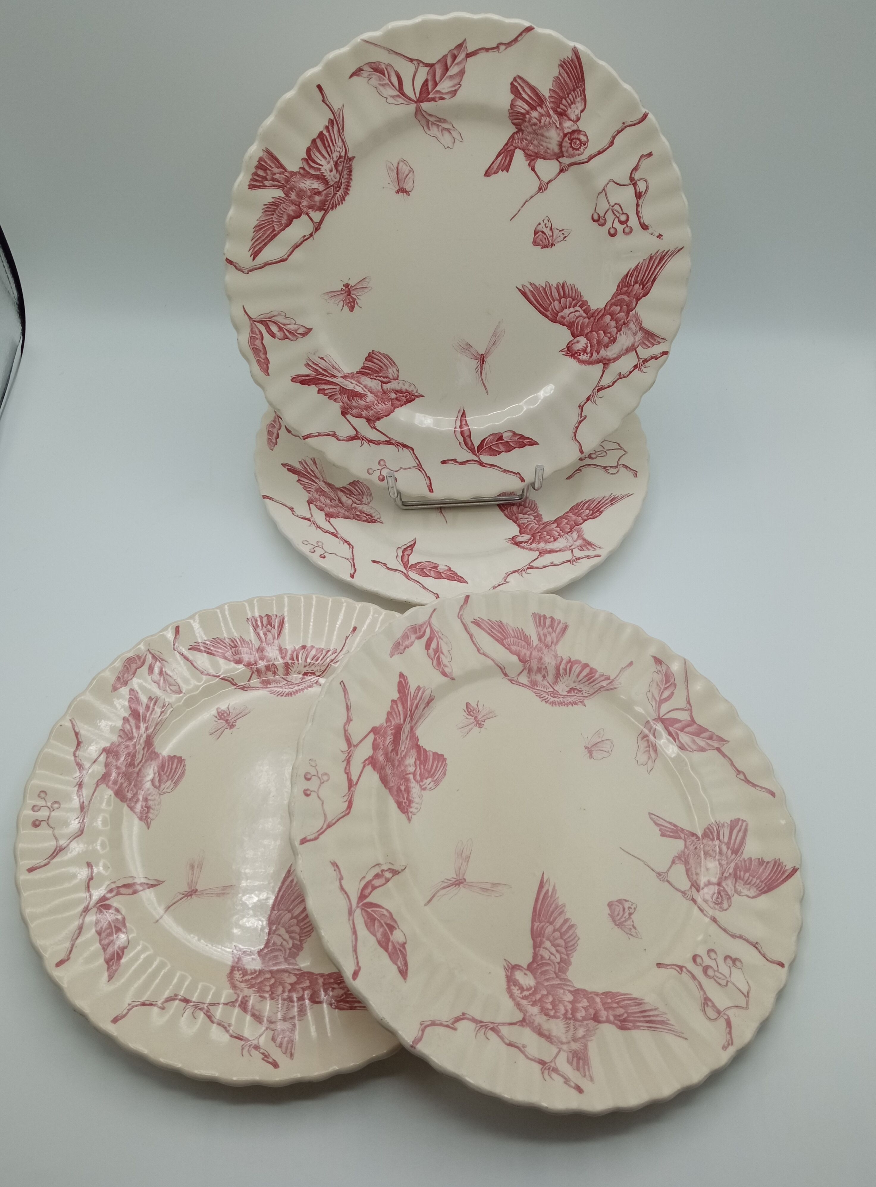 Longchamp earthenware plates
