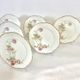 6 flat plates Baltimore Rose by Haviland Limoges