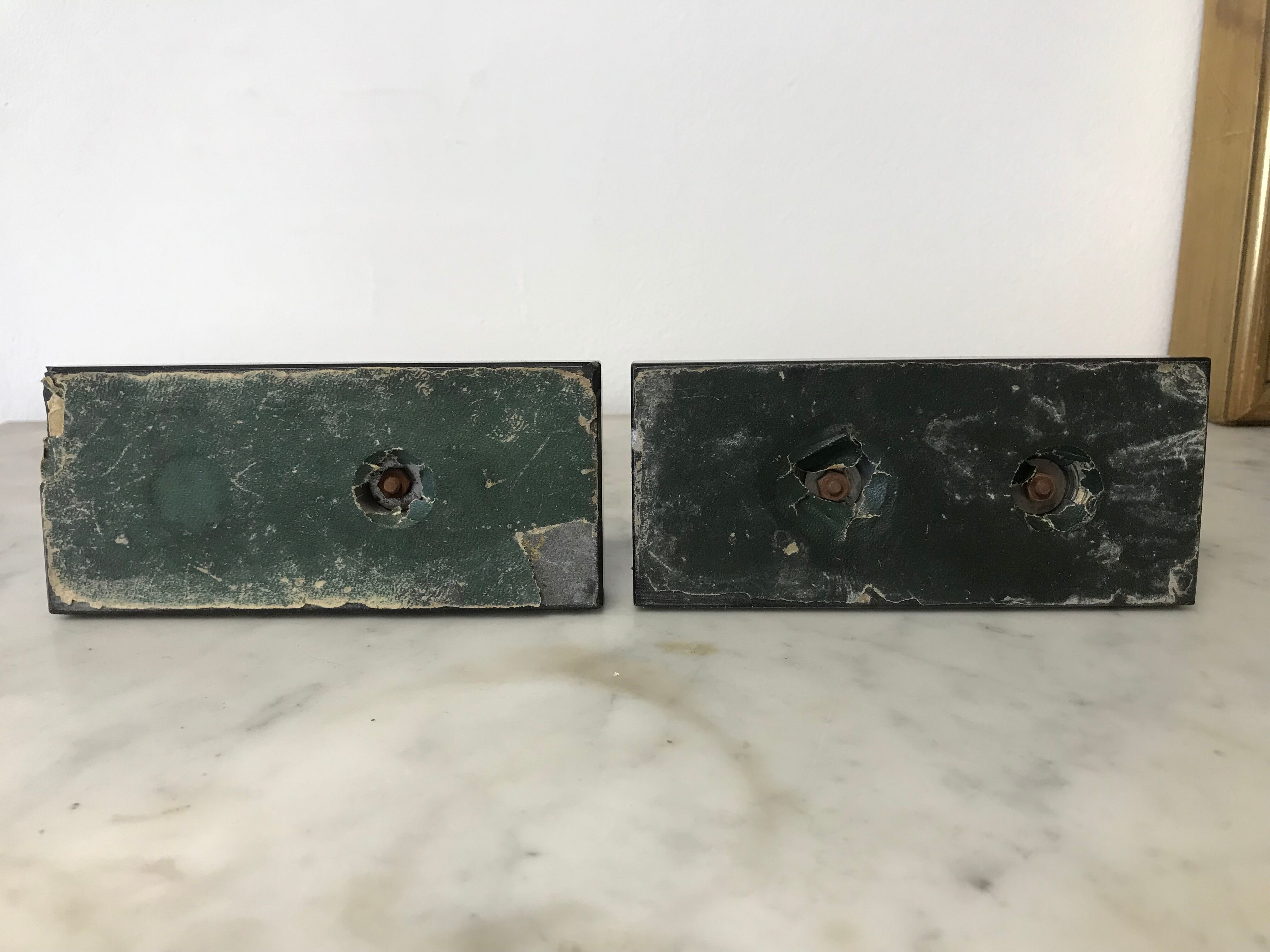 Pair of greenhouse books Pegasus Max Le Verrier