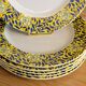6 flat plates Cacharel floral decoration yellow and blue