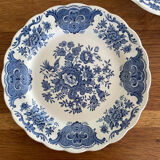 Ridgway Windsor plates set