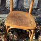 Chaise bistrot en bois Thonet