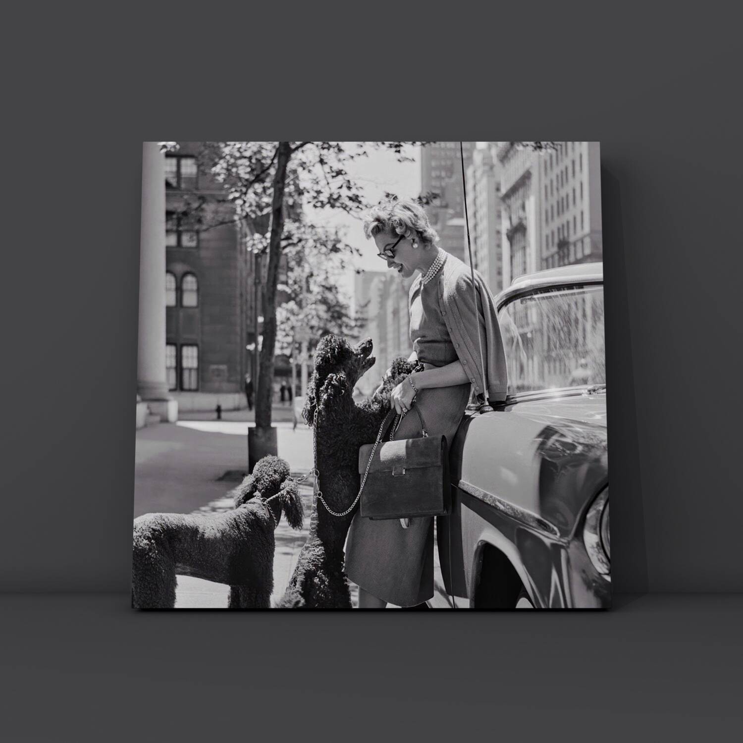 Inga Lindgren And Poodles, 1956