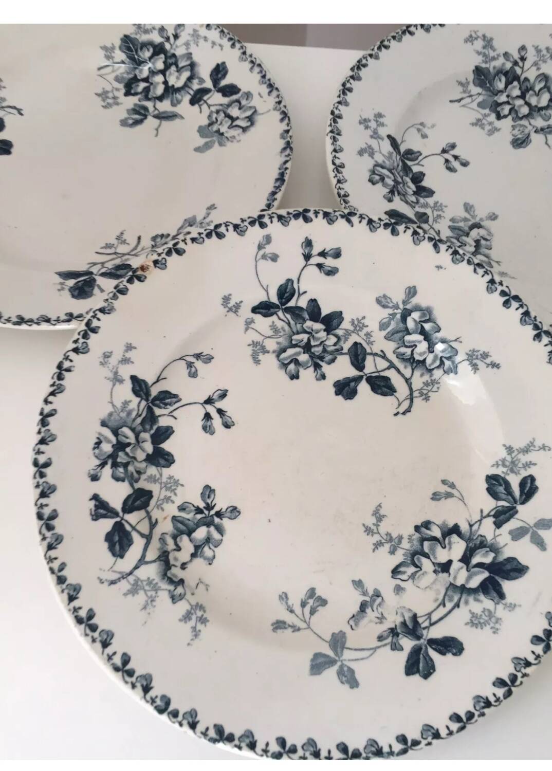 Assiette Terre de Fer St Amand Acacia XIX