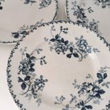 Assiette Terre de Fer St Amand Acacia XIX