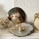 Oyster pearl catchall