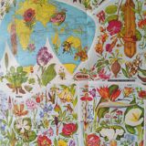 Poster map of the flowers of the world