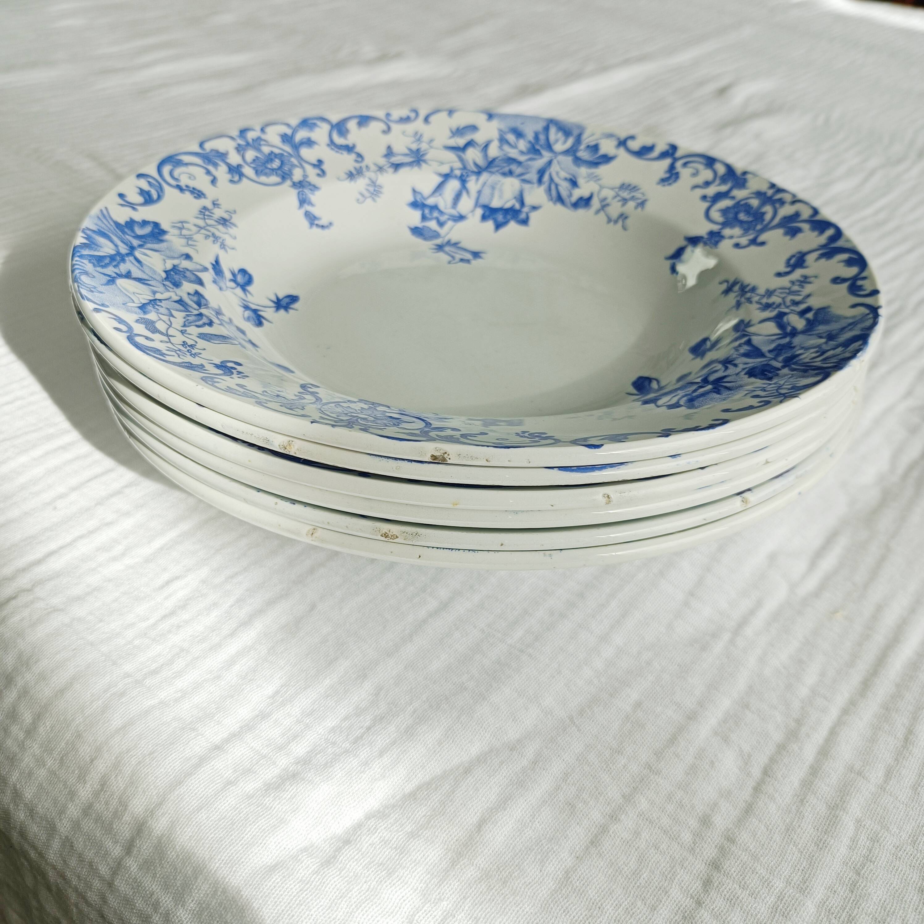 Set of 6 Saint Amand et Hamage iron earth soup plates, Bellflower