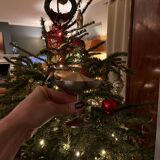 Set  of 6 ice cream cups