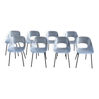 8 chaises tulipe par P.Guariche