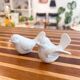 Salière et poivrière en porcelaine motif oiseaux