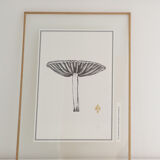 Mushroom board, limited edition