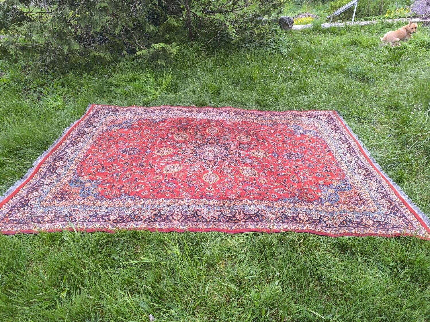 Persian rug 2m90x2m in wool from Lahore (Pakistan) 50s-60s