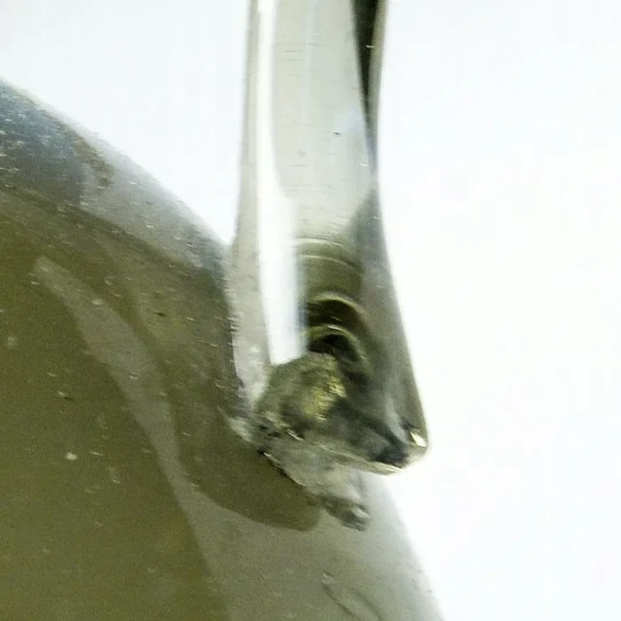 Vase E4C, Institut de Cracovie Zofia Pasek