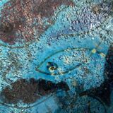 Fish pottery bowl by Aldo Londi for Bitossi, Italy, 1960s.