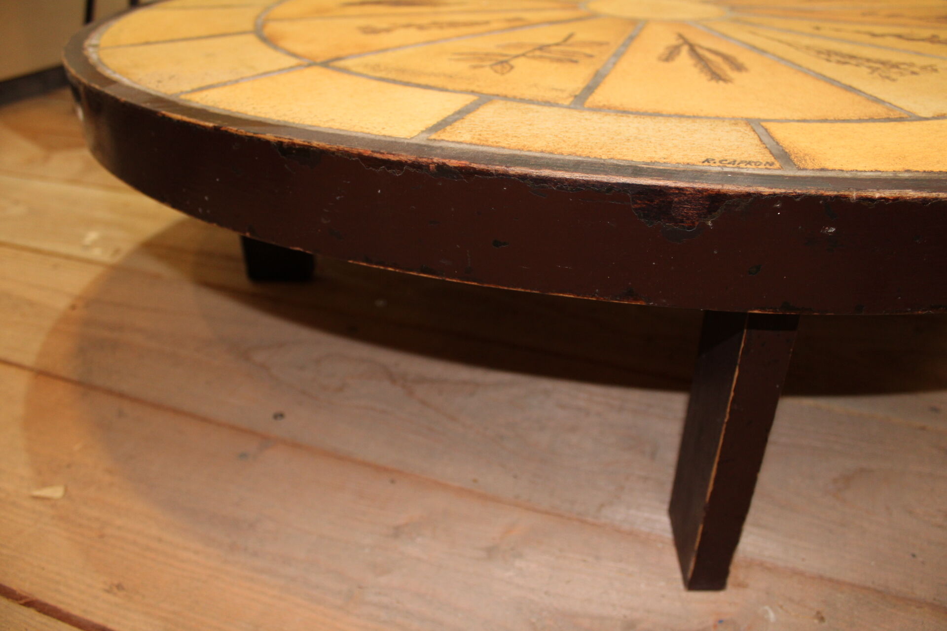 Roger Capron herbarium coffee table
