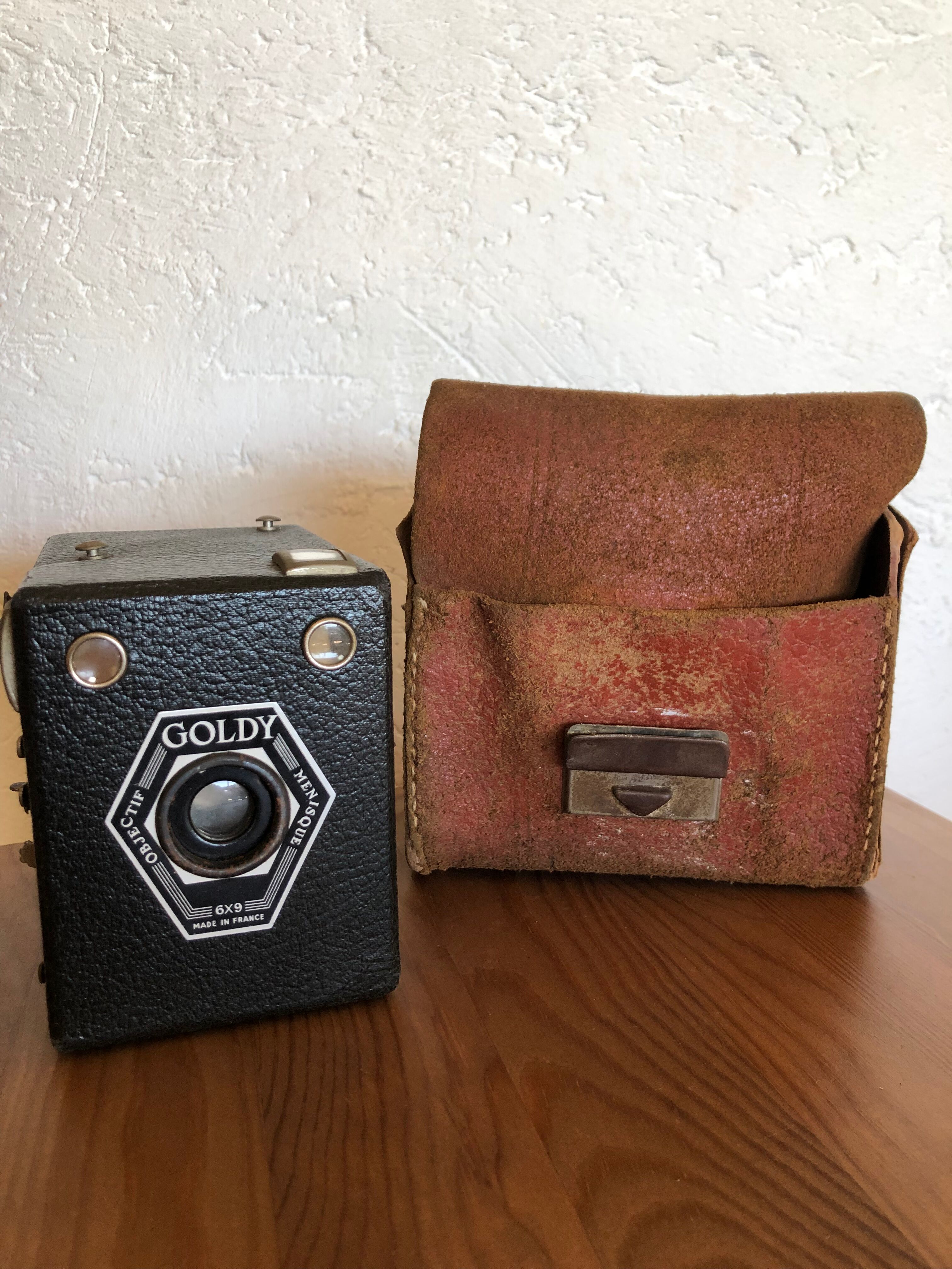 Goldy meniscus 6x9 camera