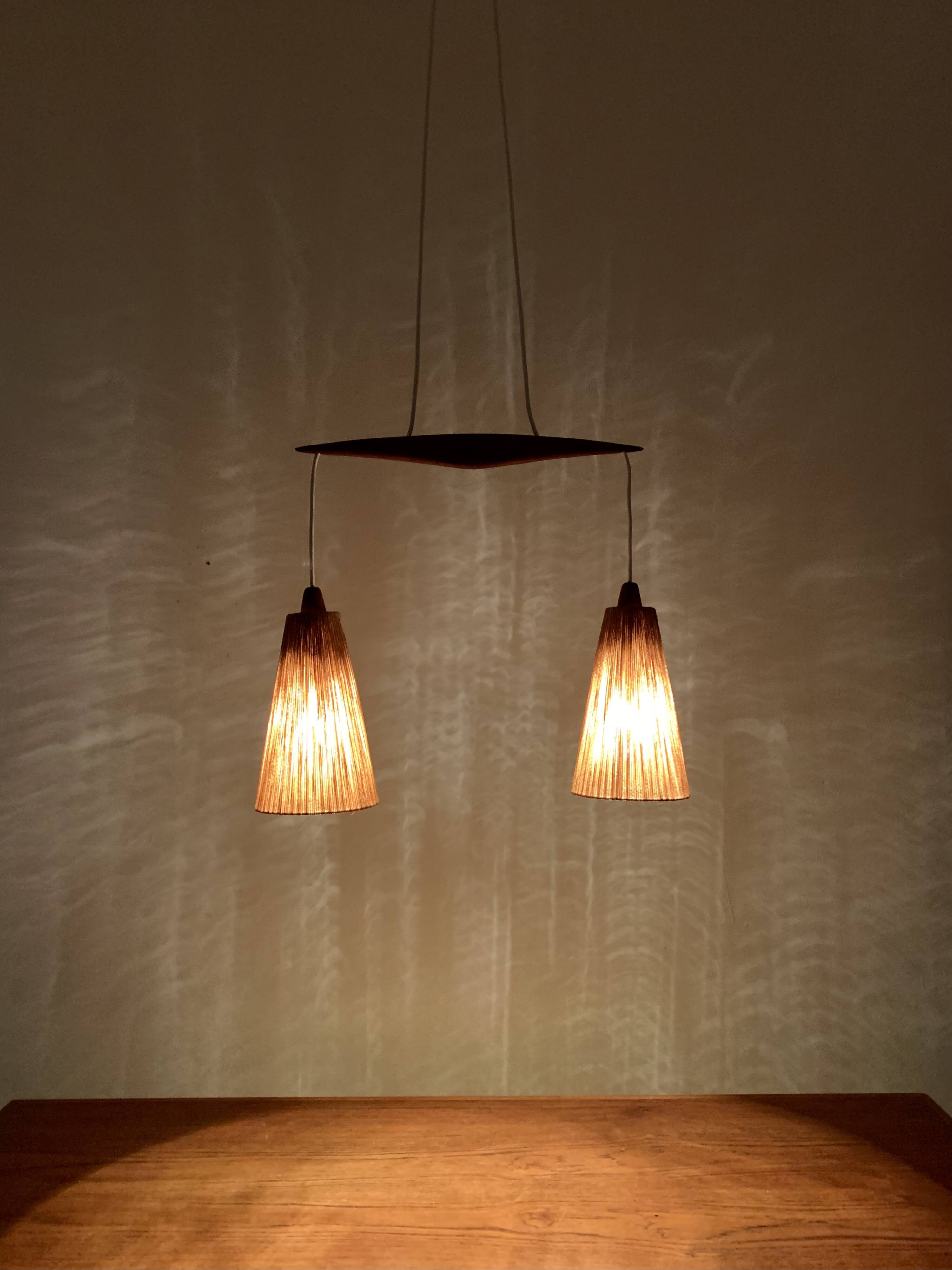 Teakwood and Sisal Pendant Lamp by Temde